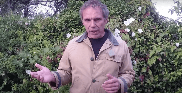 Paul Harrell Net Worth