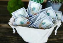bryce adams financial success