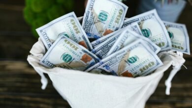 erika kullberg s financial success