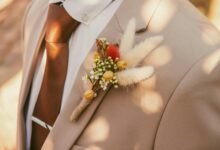 emily compagno s marriage dissolution