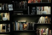 guy willison biography details