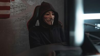 fraud alert hotline numbers