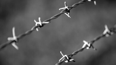 hotline protection division numbers