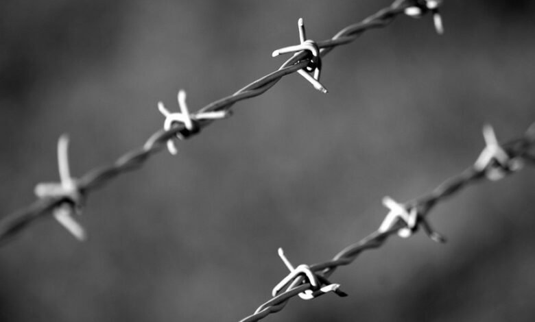 hotline protection division numbers