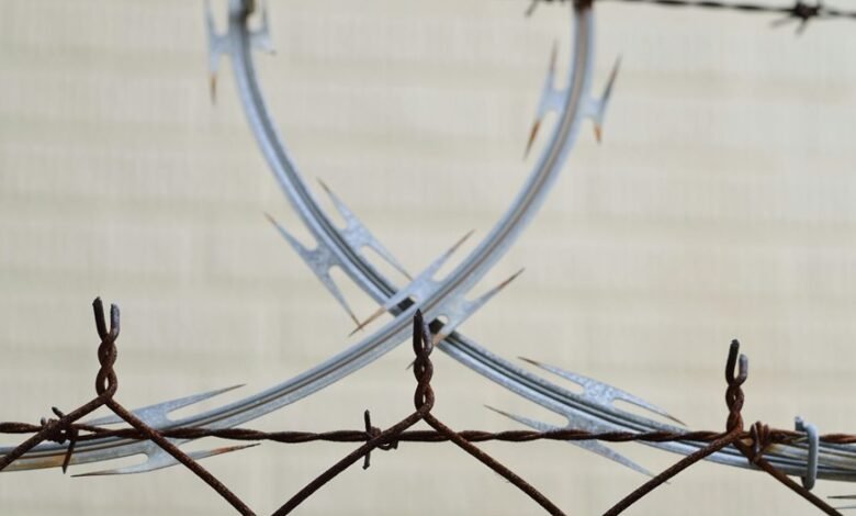 safety division hotline numbers